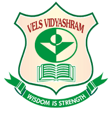 Vels Vidyashram School Company logo